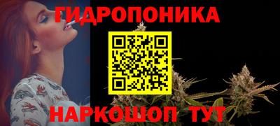 стафф Волгодонск