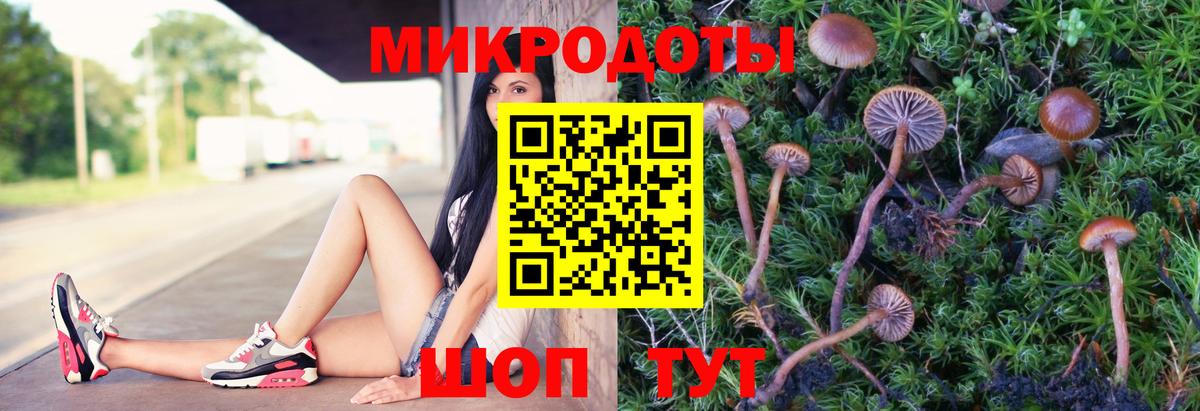Галлюциногенные грибы Psilocybe  Вход с VPN  Знаменск  Псилоцибиновые грибы Psilocybine cubensis 