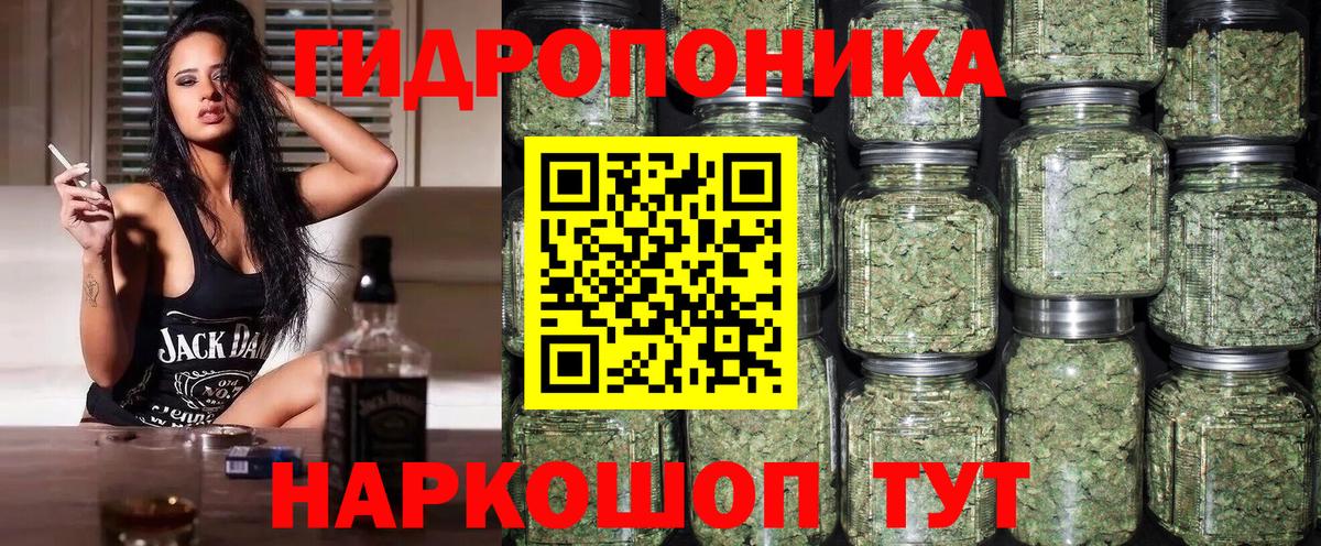 Каннабис конопля Знаменск